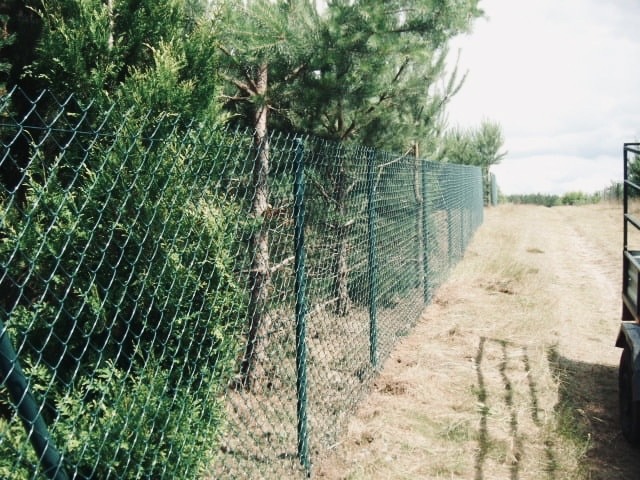 Image (1)